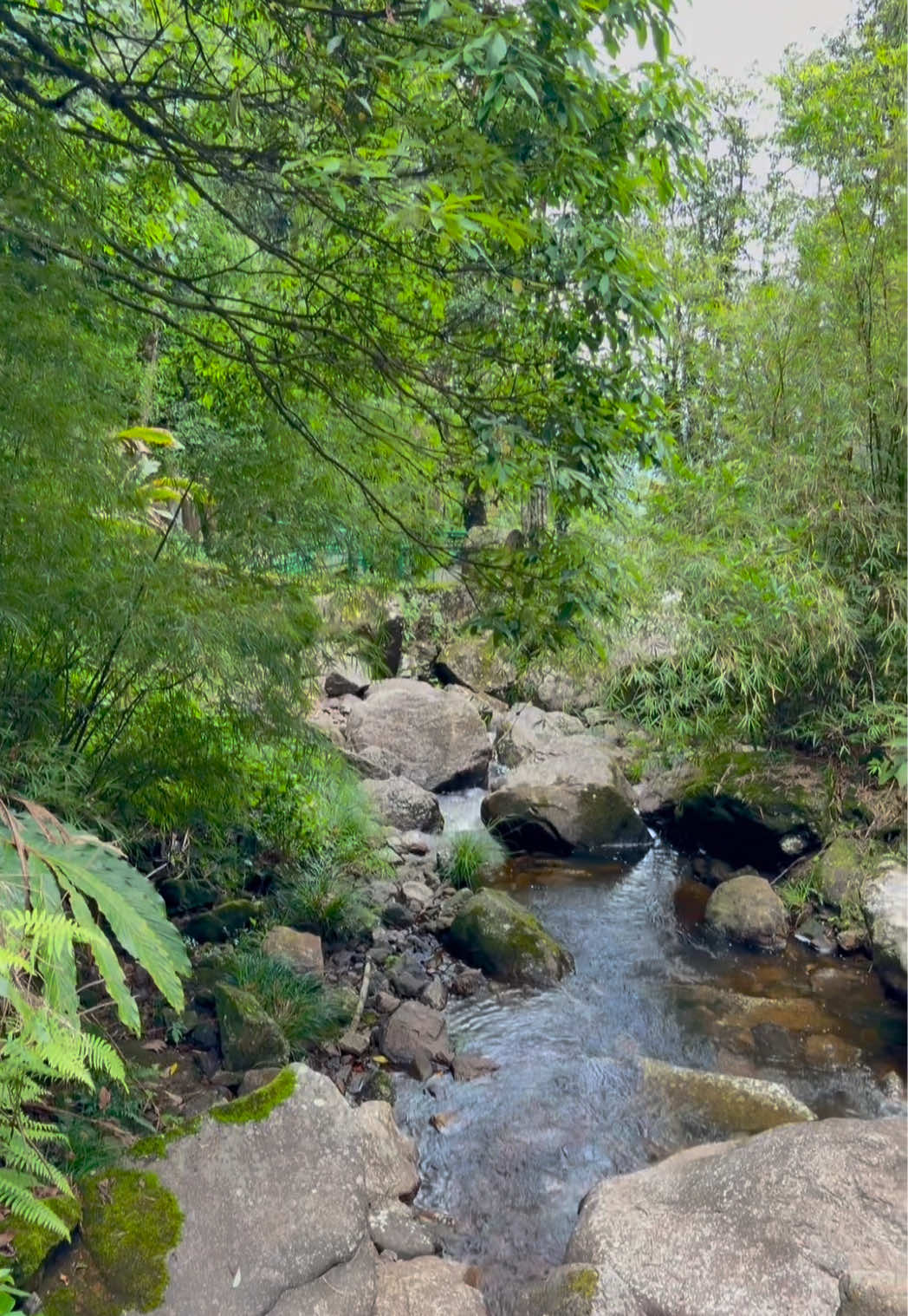 Silver Waterfall