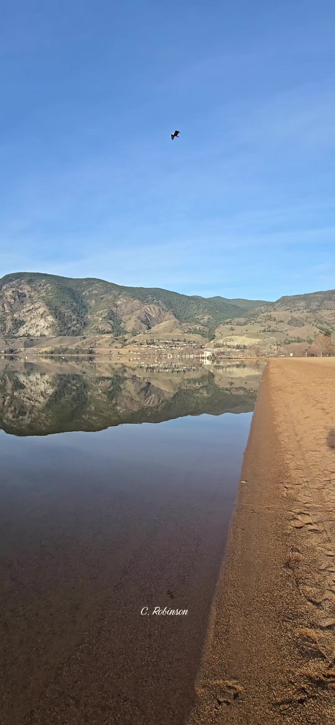 Skaha Lake Park