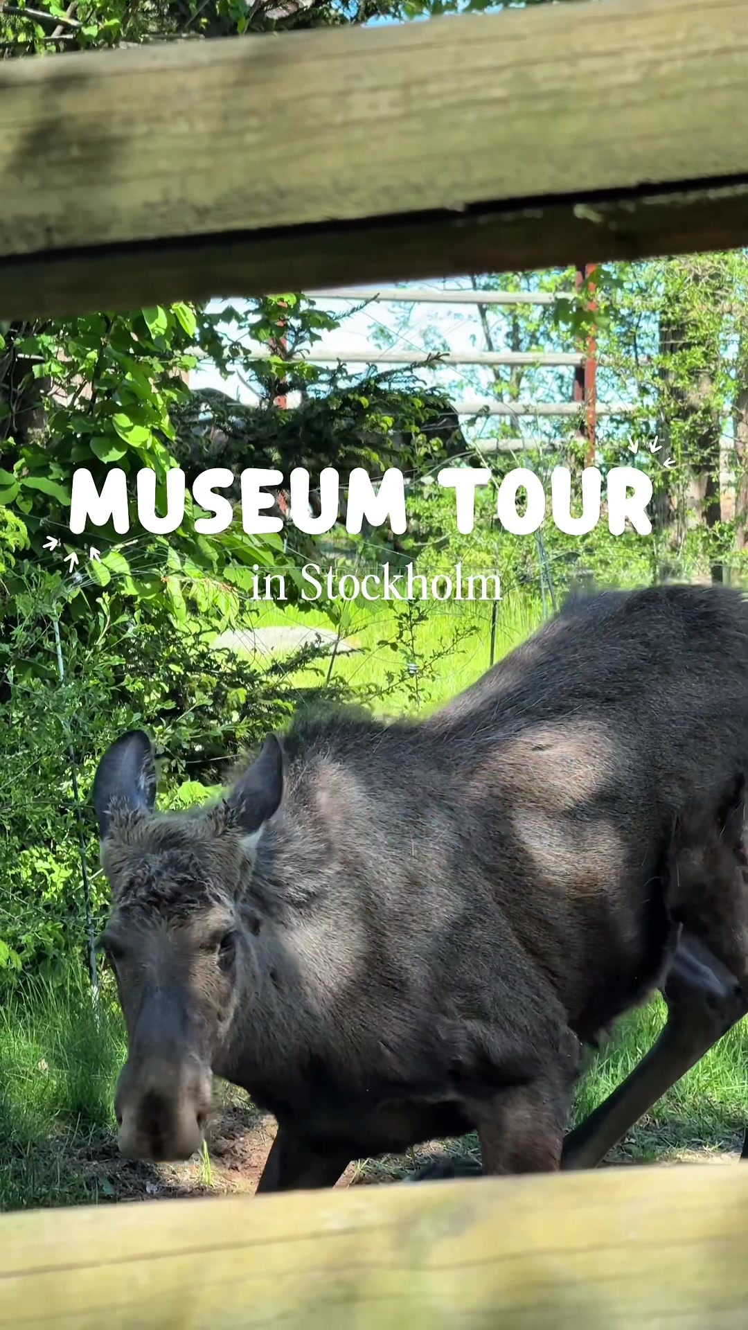Skansen (открытый музей и зоопарк в Стокгольме)
