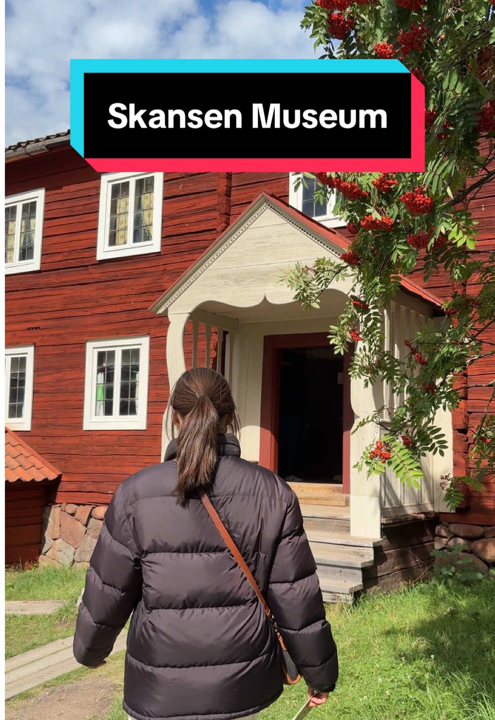 Skansen (открытый музей и зоопарк в Стокгольме)