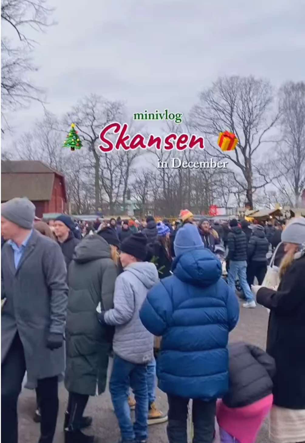 Skansen (открытый музей и зоопарк в Стокгольме)