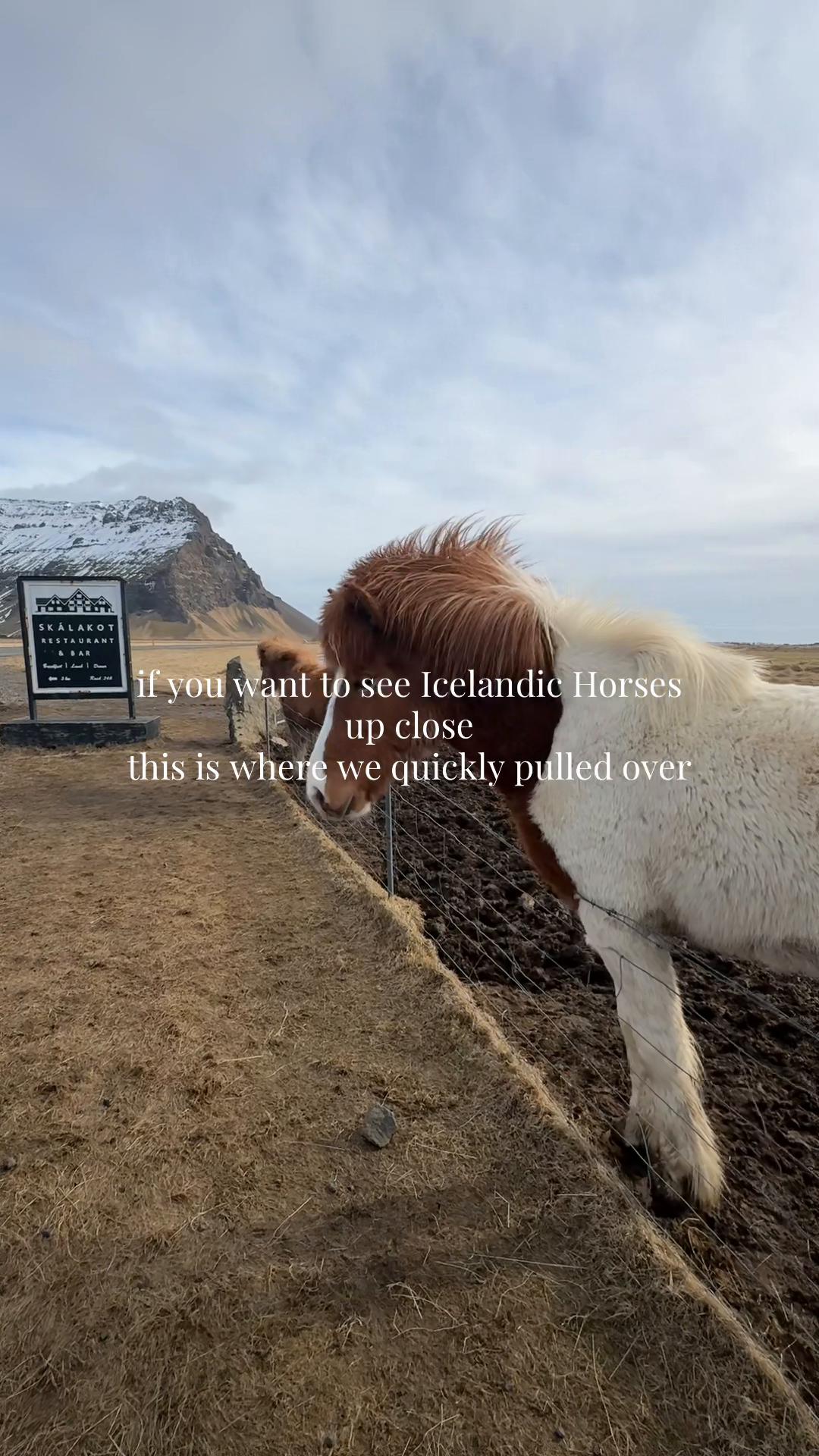 Skógafoss