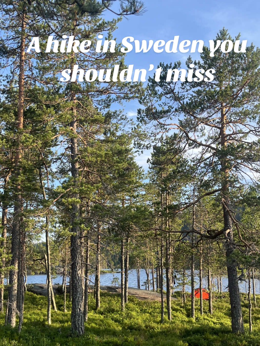 Skuleskogen National Park (Скулескоген, высокий берег ЮНЕСКО)