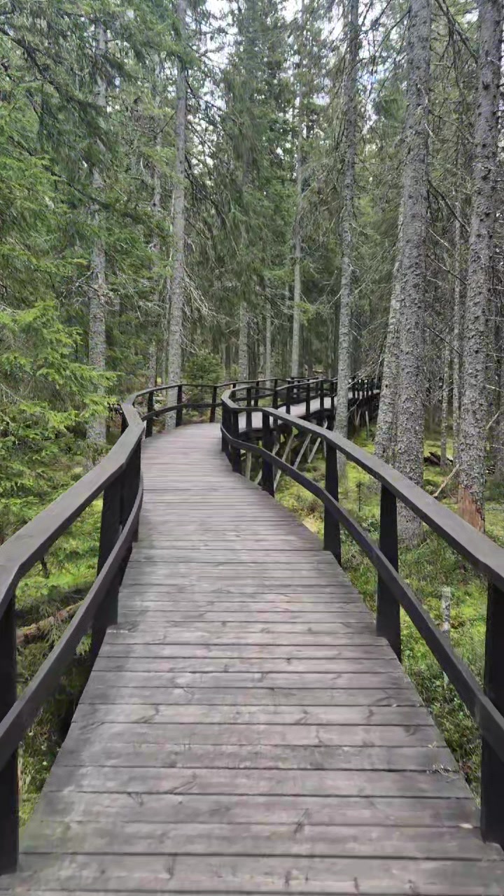 Skuleskogen National Park (Скулескоген, высокий берег ЮНЕСКО)