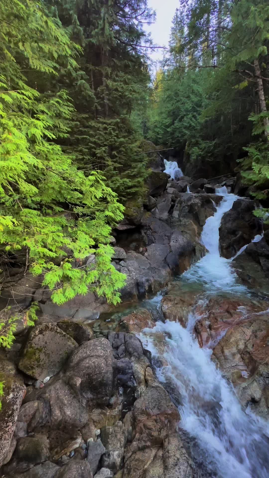 Skykomish River