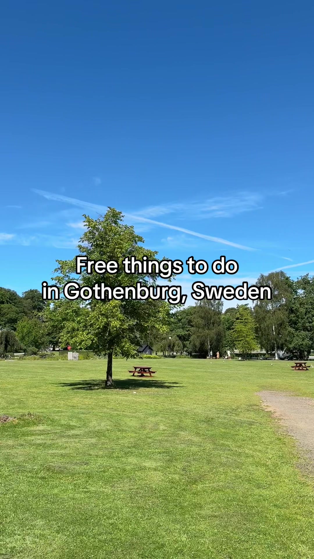 Slottsskogen Park
