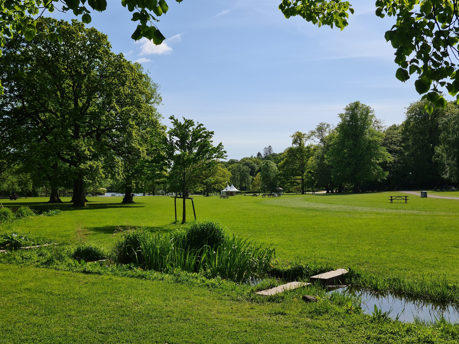 Slottsskogen Park