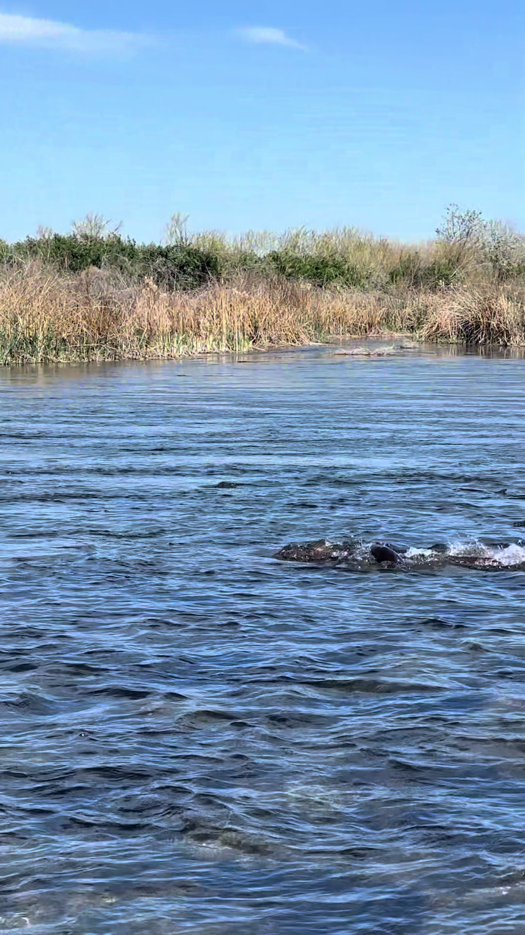 Snake River