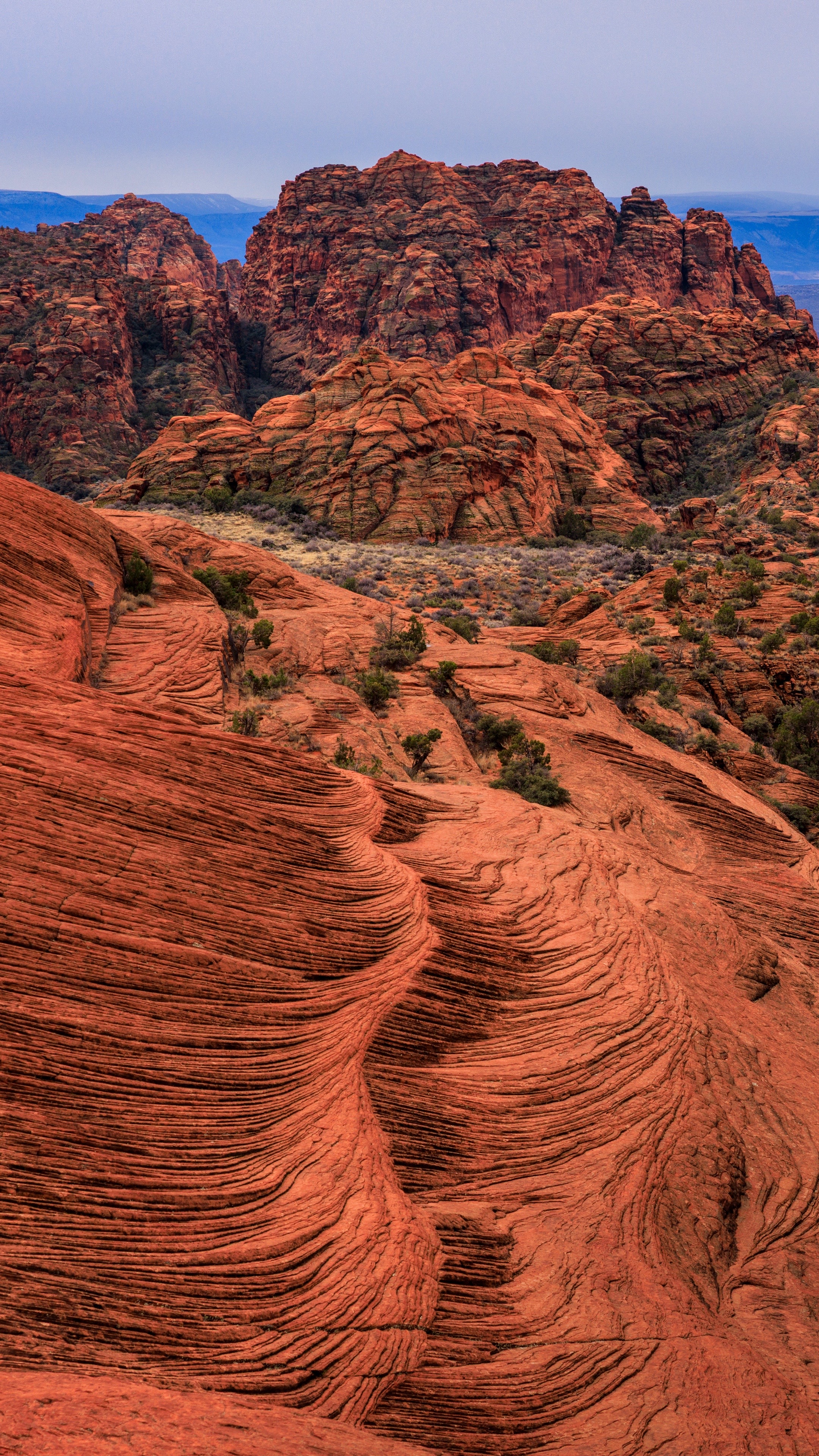 Snow Canyon State Park