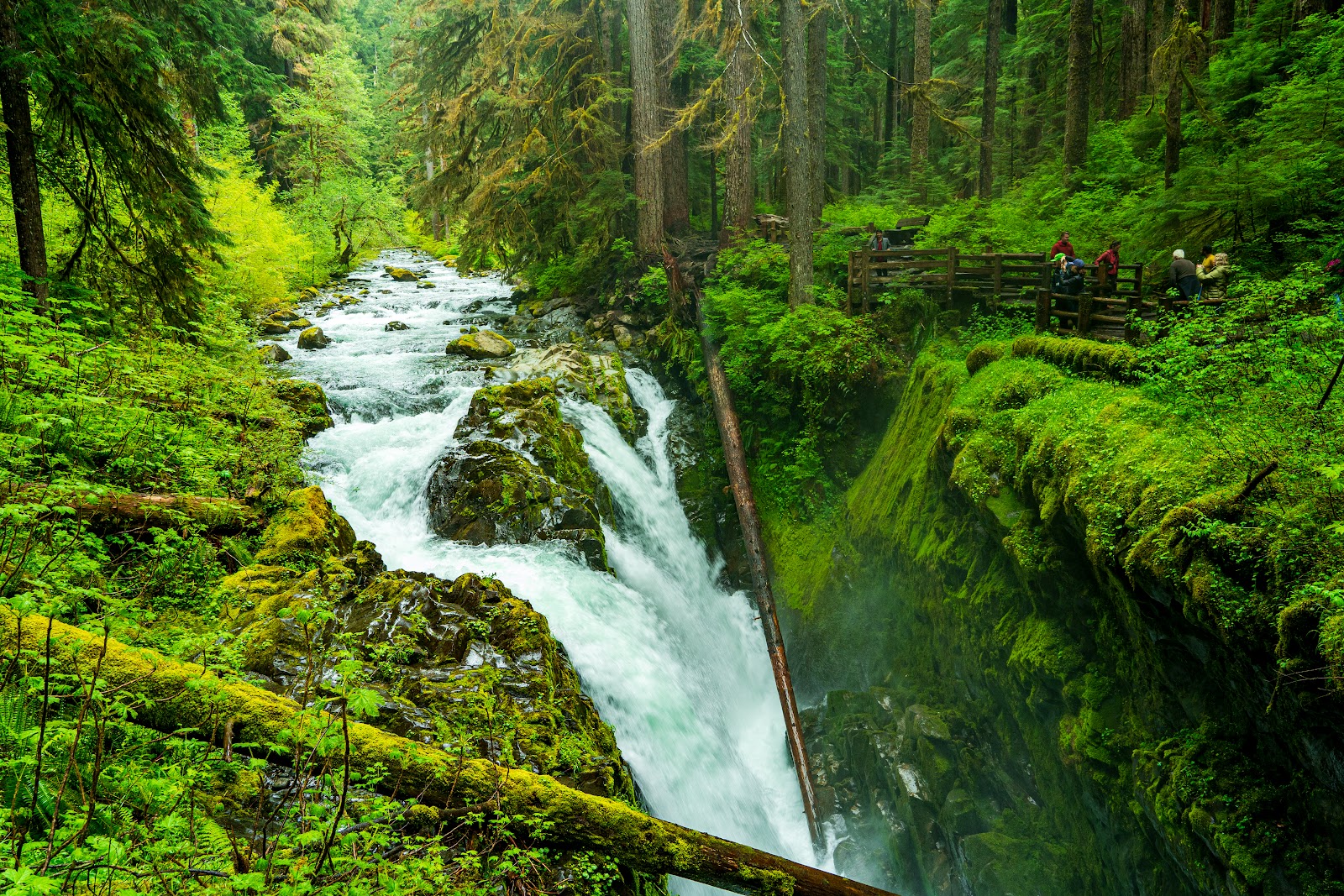 Sol Duc Falls