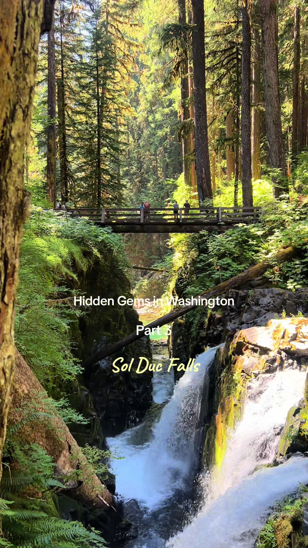Sol Duc Falls