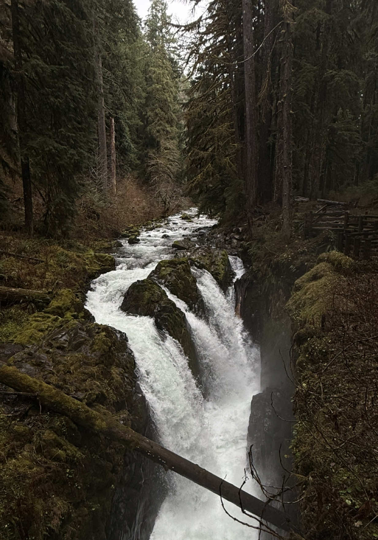 Sol Duc Falls