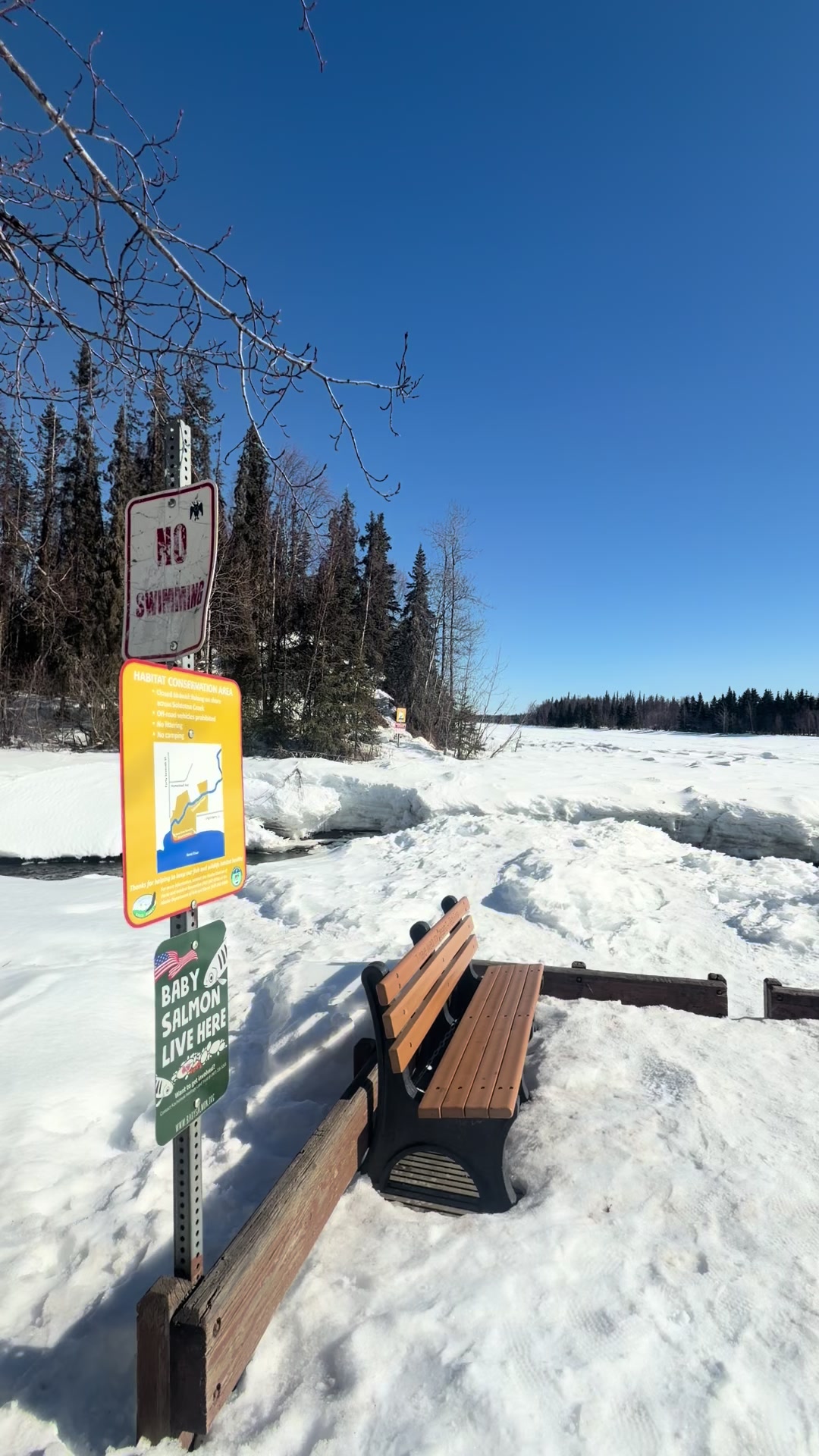 Soldotna Creek Park
