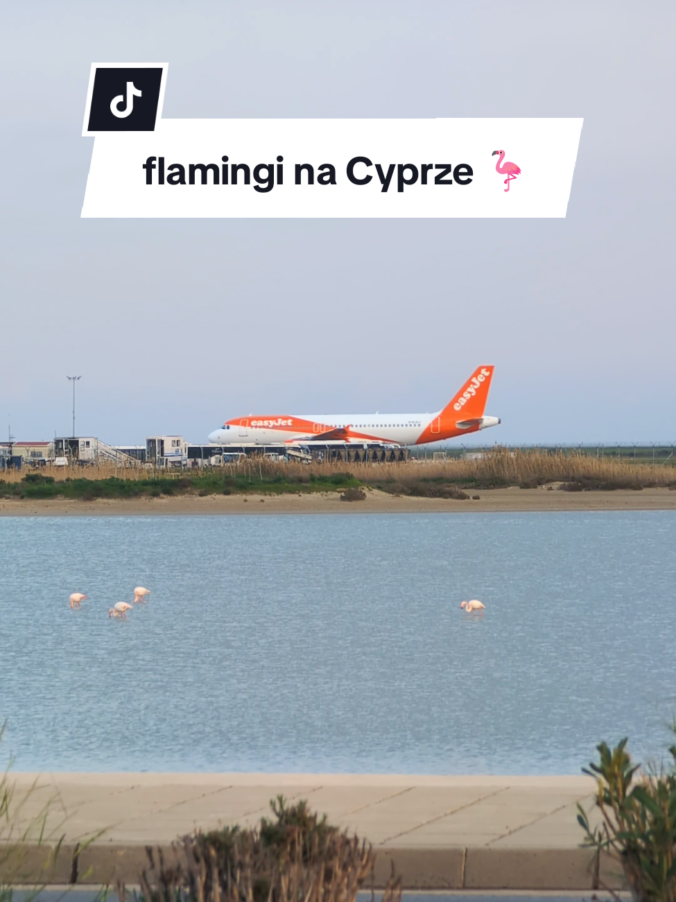 Соляное озеро Ларнаки и мечеть Хала Султан Текке (Larnaca Salt Lake / Hala Sultan Tekke)