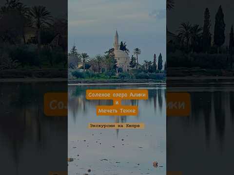 Соляное озеро Ларнаки и мечеть Хала Султан Текке (Larnaca Salt Lake / Hala Sultan Tekke)