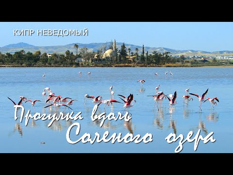 Соляное озеро Ларнаки и мечеть Хала Султан Текке (Larnaca Salt Lake / Hala Sultan Tekke)