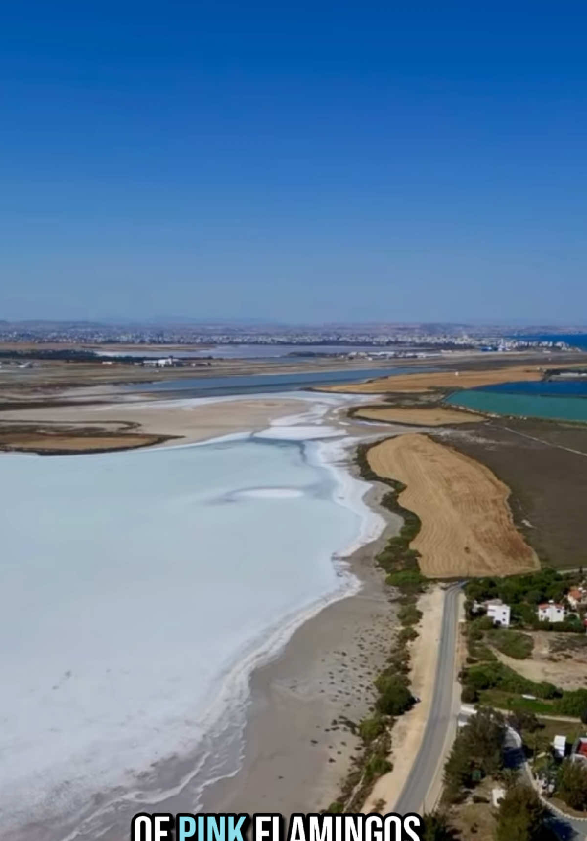 Соляное озеро Ларнаки (Larnaca Salt Lake)