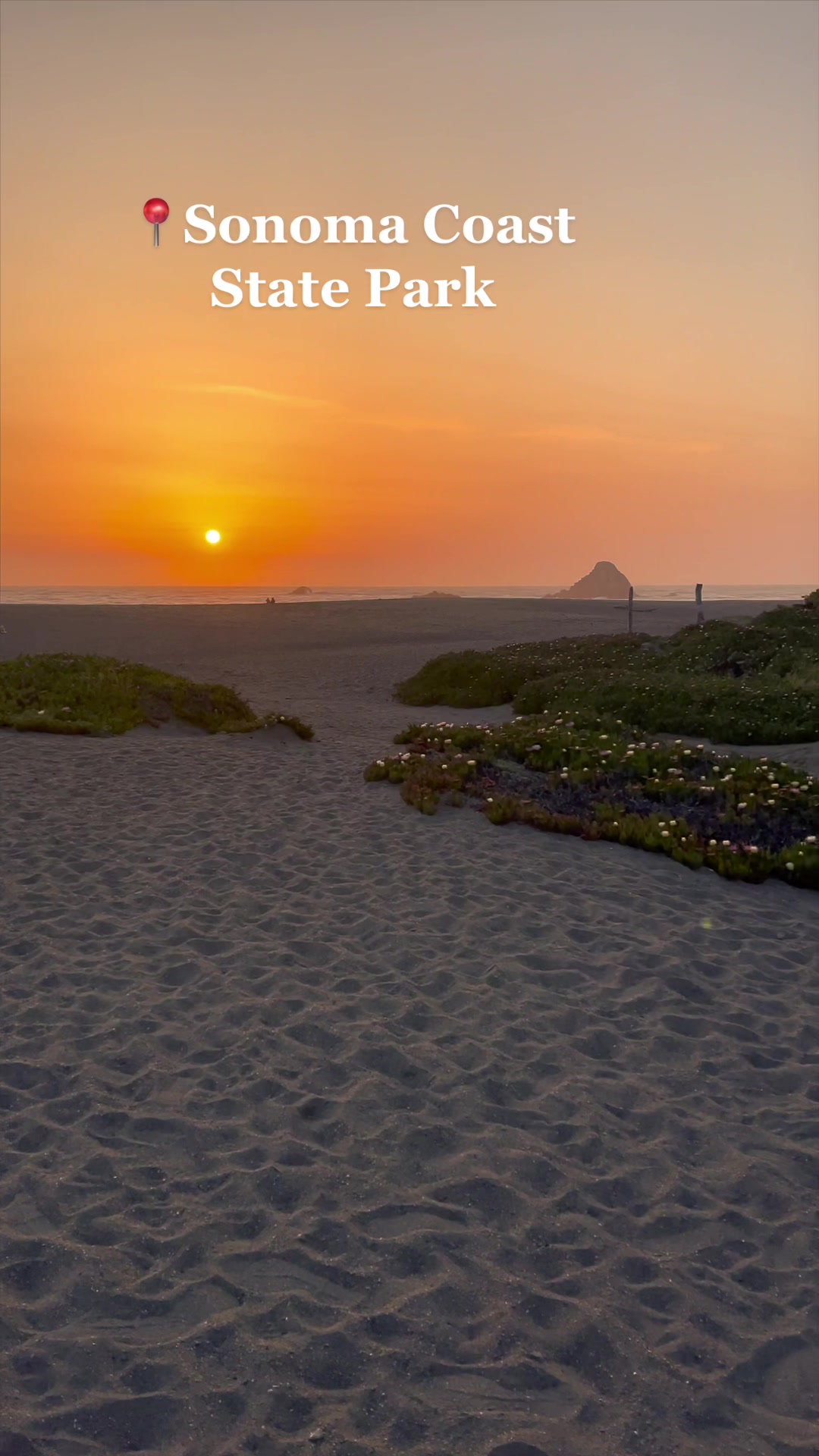 Sonoma Coast State Park