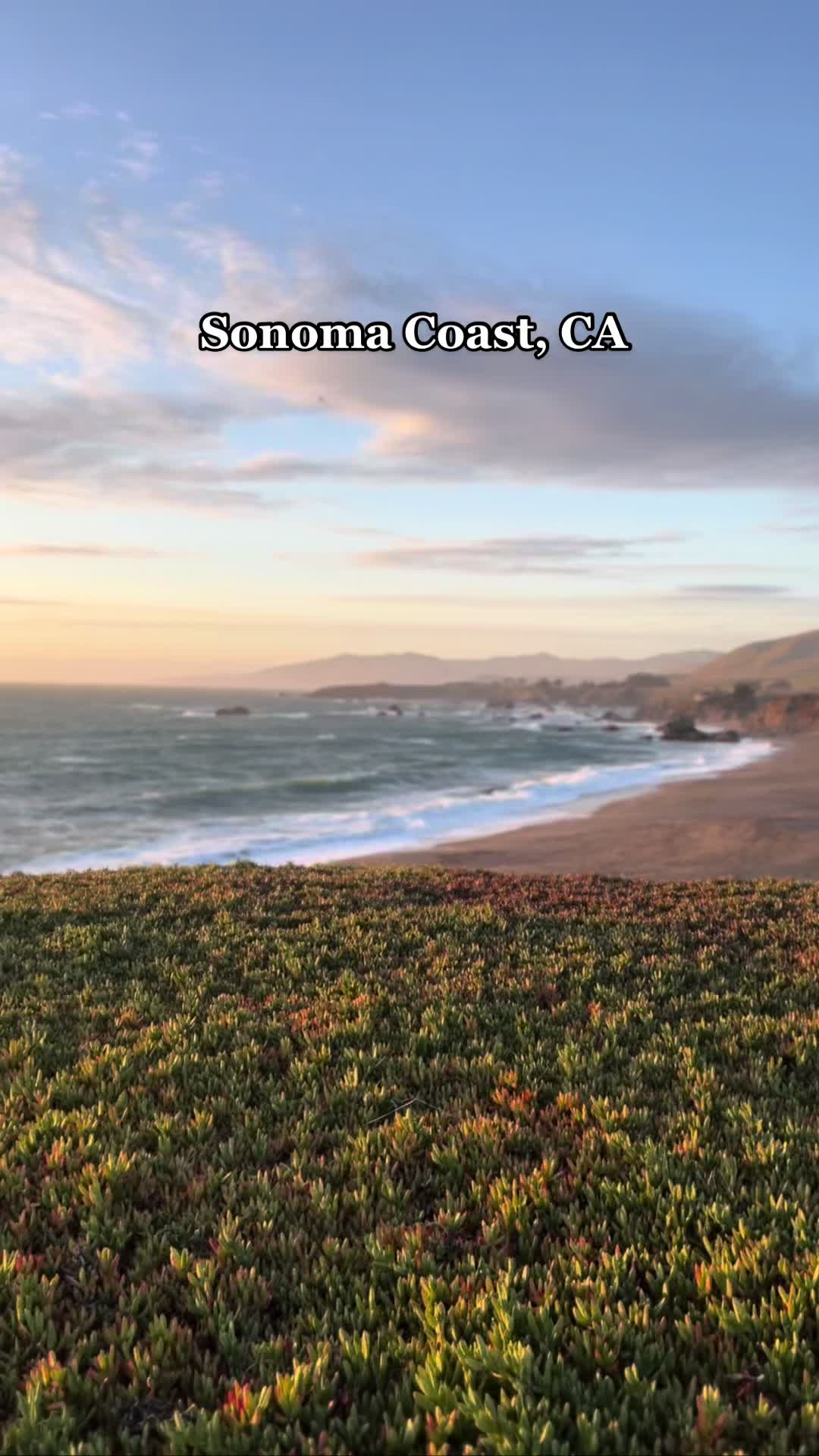 Sonoma Coast State Park