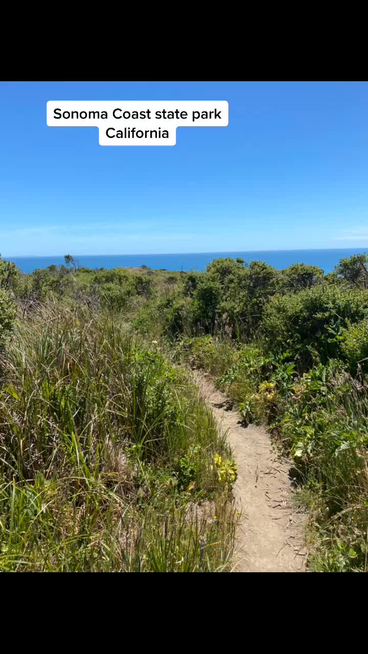 Sonoma Coast State Park