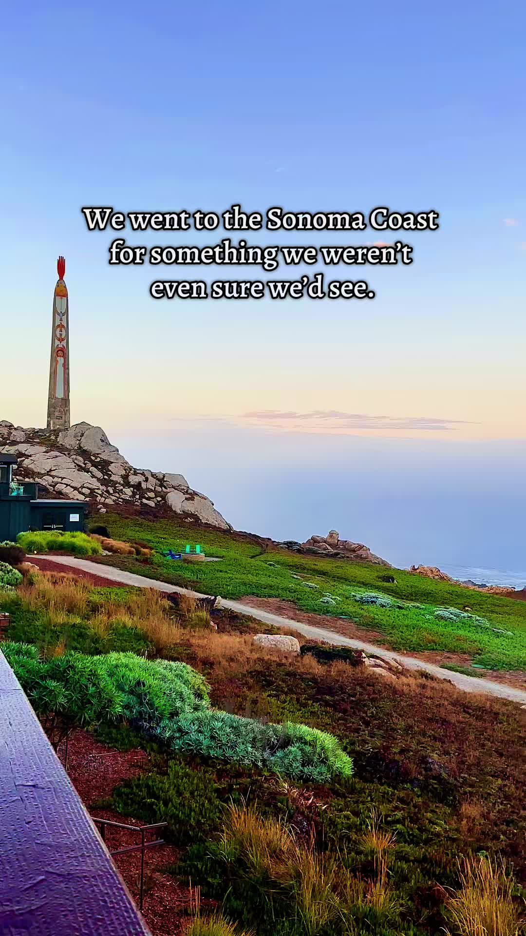 Sonoma Coast State Park