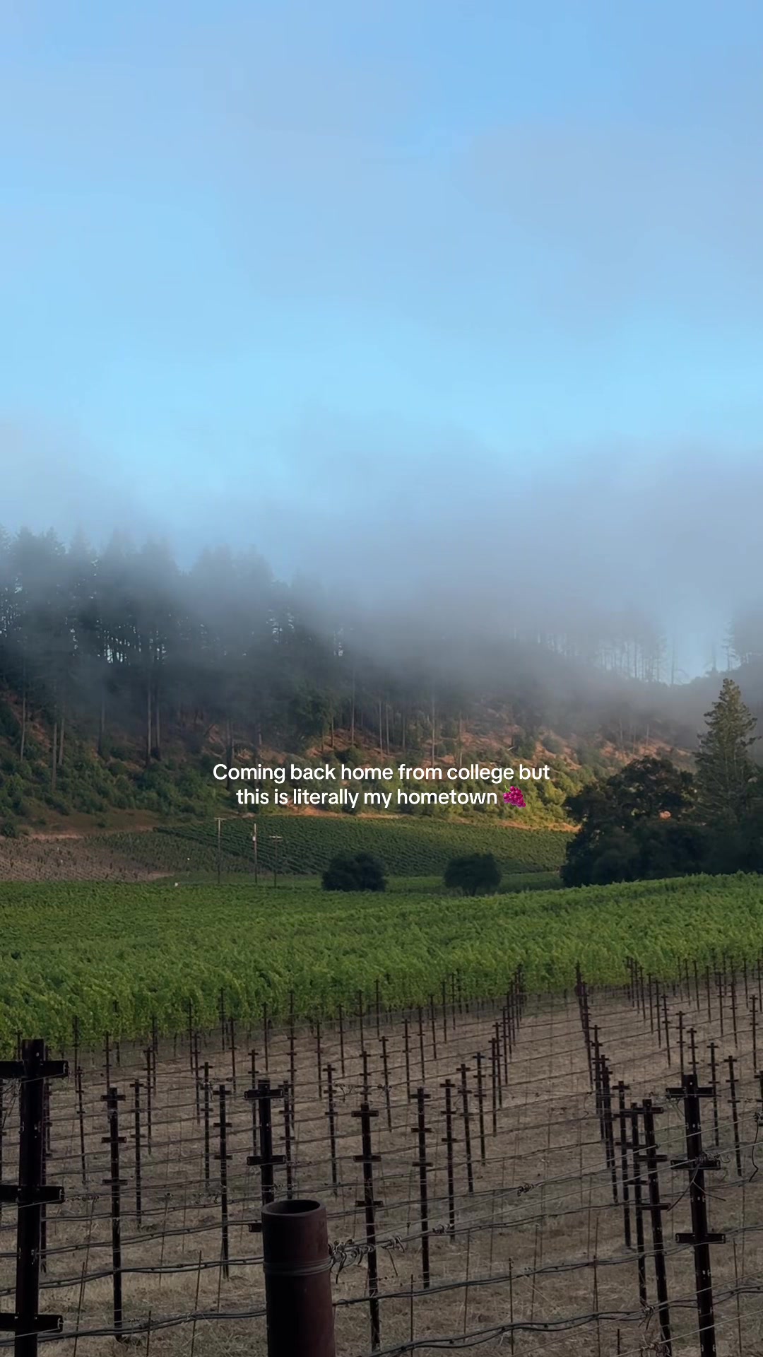 Sonoma County