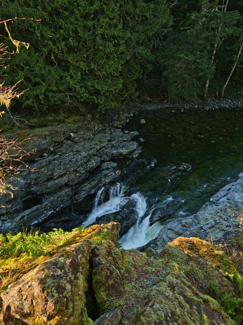 Sooke