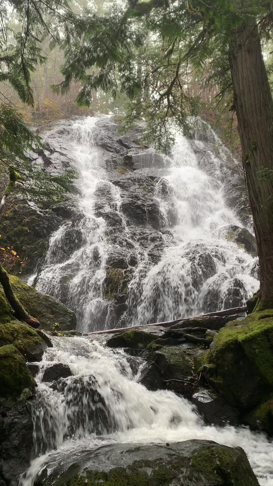 Sooke