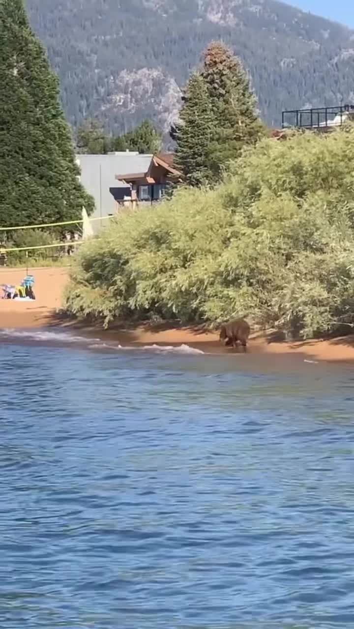 South Lake Tahoe