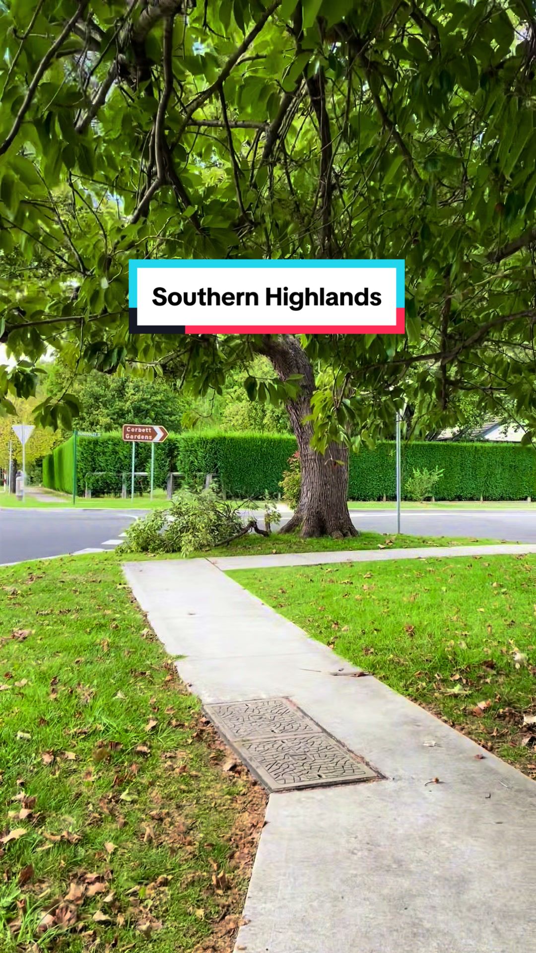 Southern Highlands