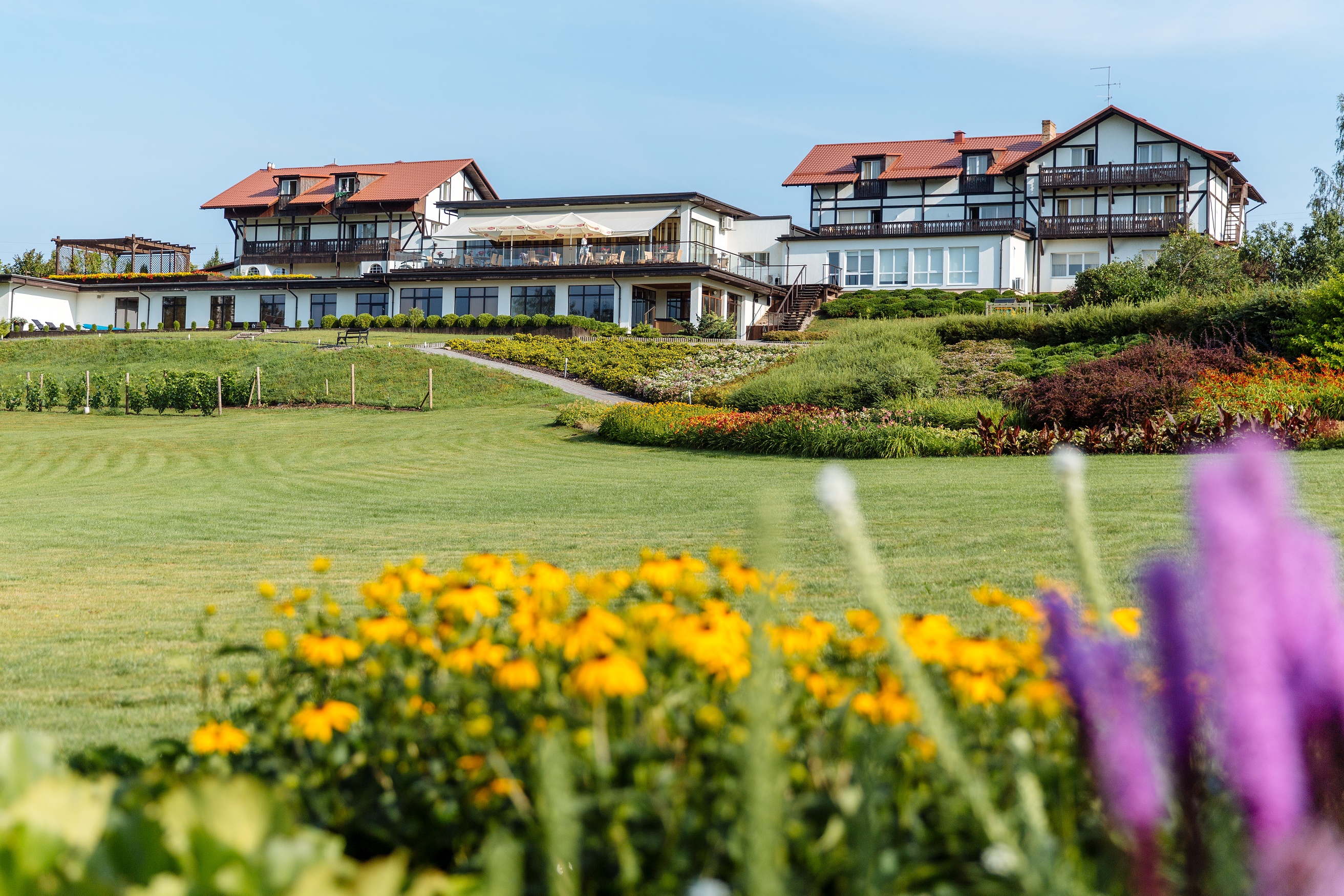 תמונה עבור Spa Hotel Ezeri