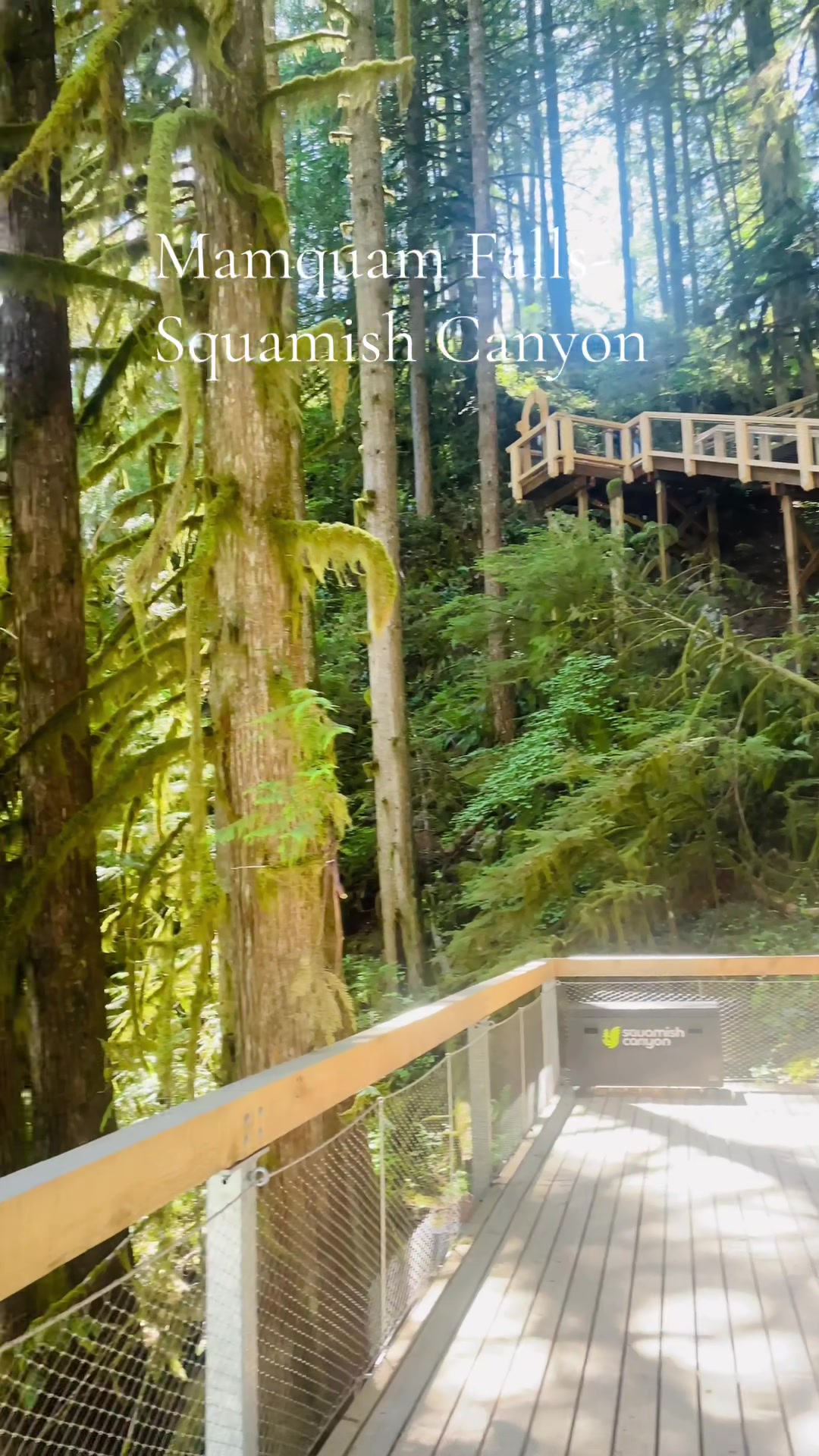 Squamish Canyon at Mamquam Falls
