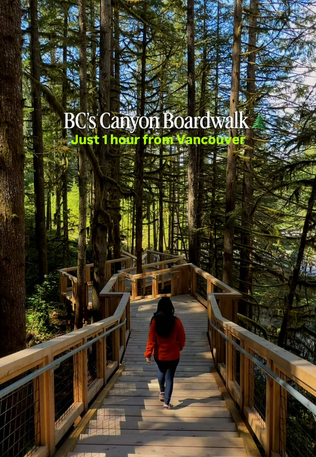 Squamish Canyon at Mamquam Falls