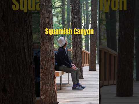 Squamish Canyon at Mamquam Falls