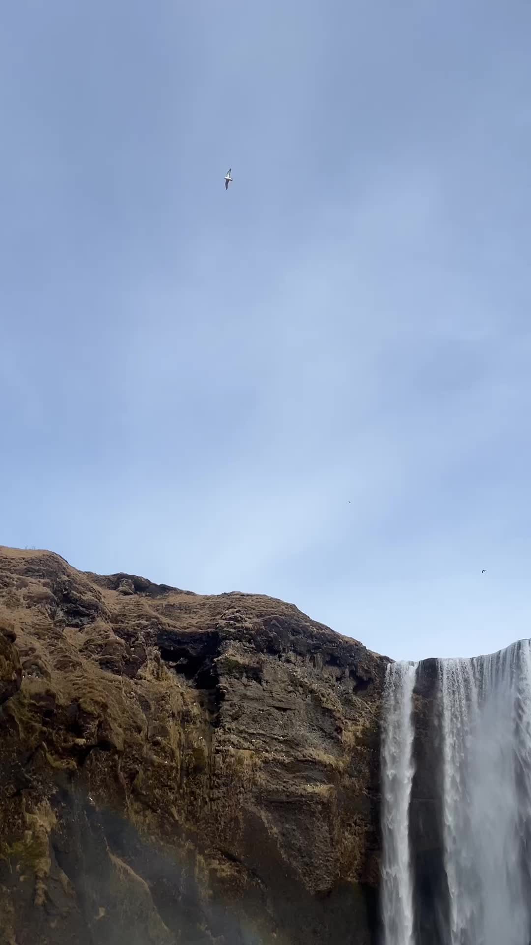 סקוגפוס (Skógafoss)