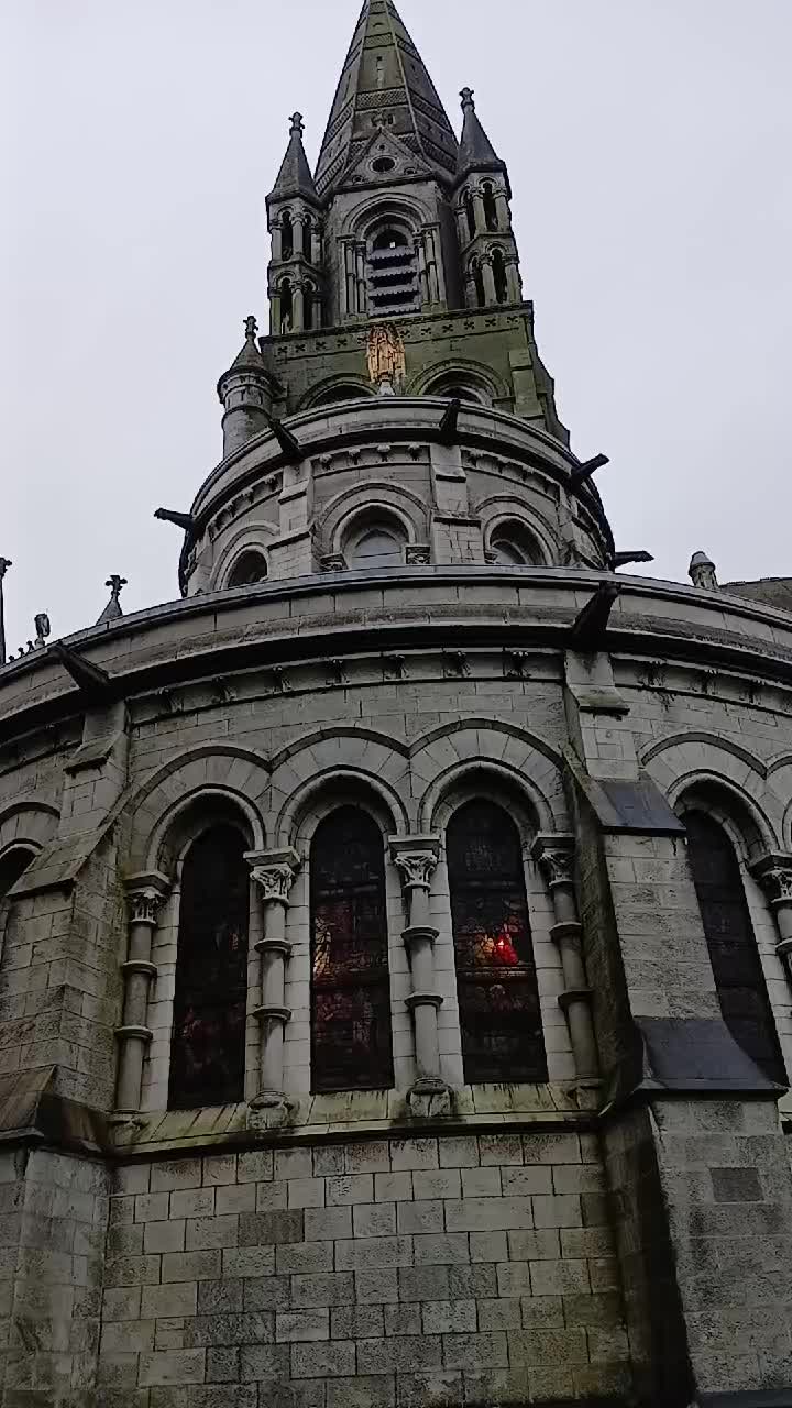 St. Fin Barre's Cathedral