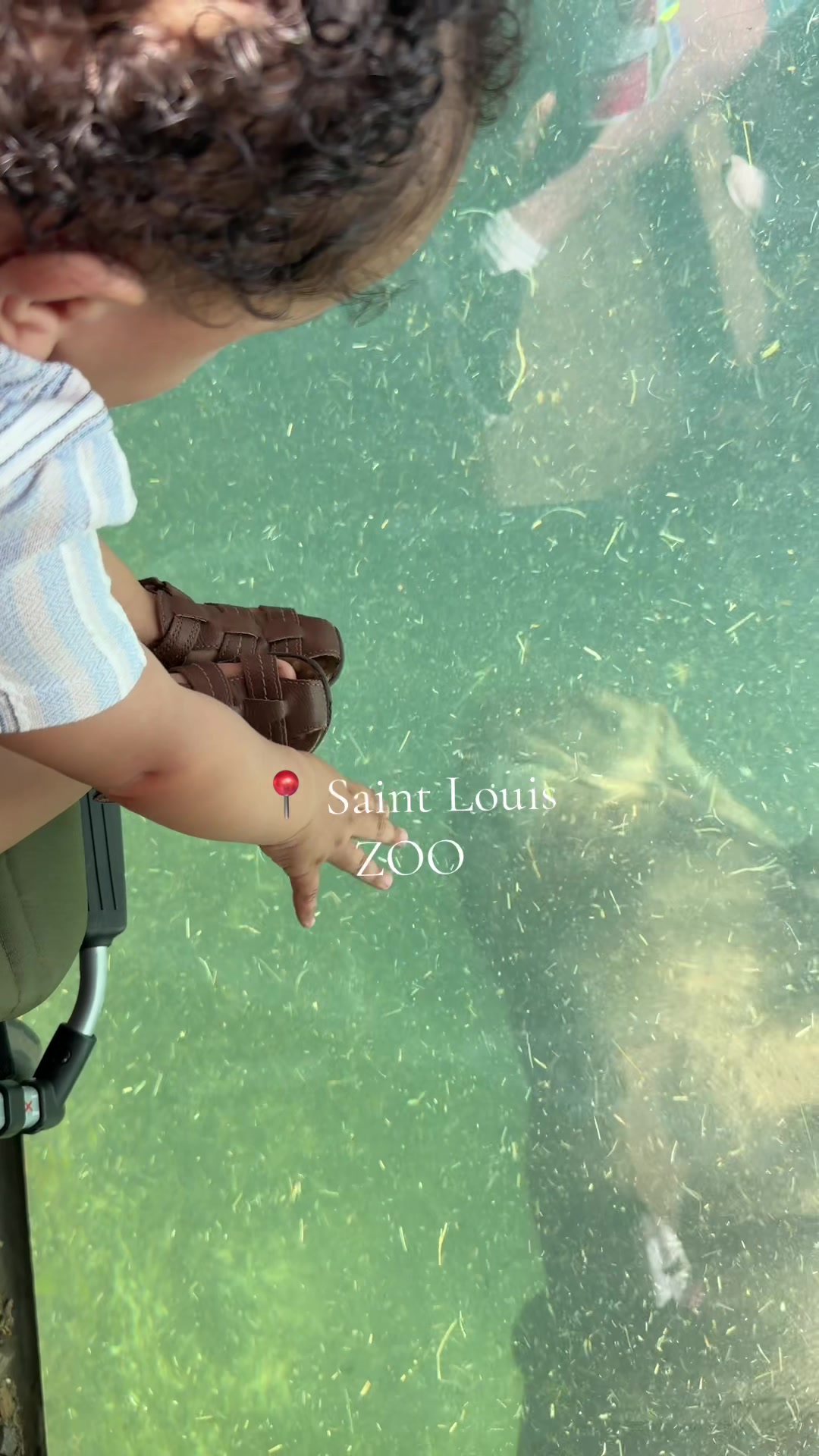St. Louis Zoo