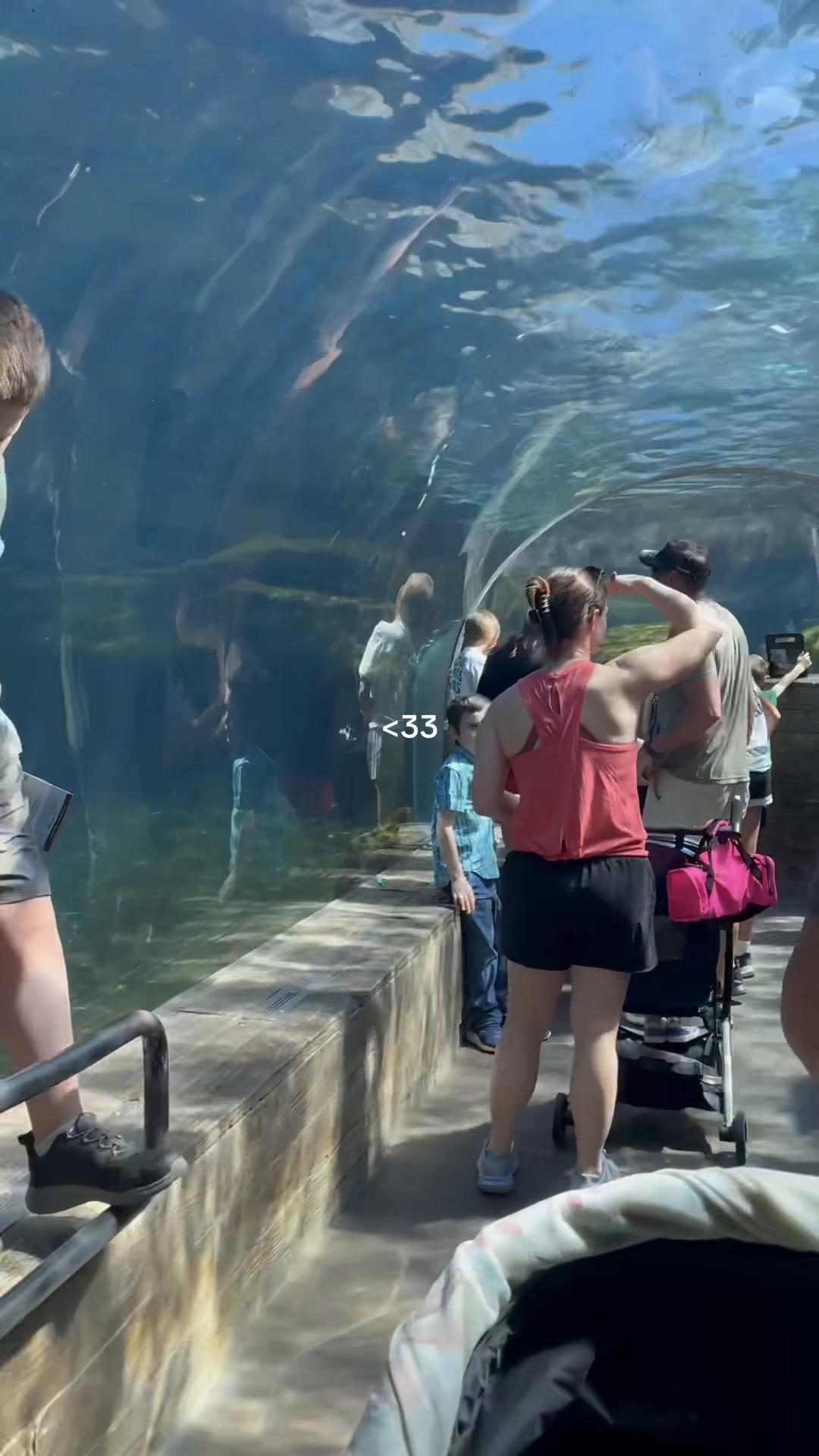 St. Louis Zoo