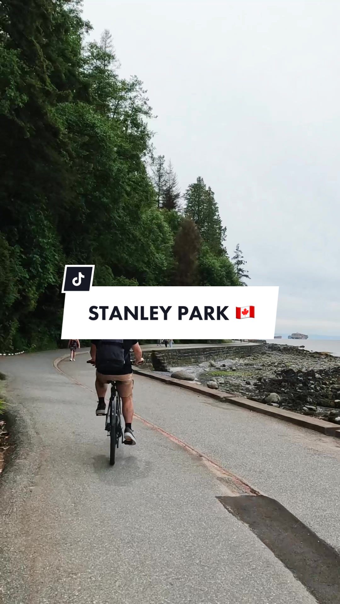 Stanley Park