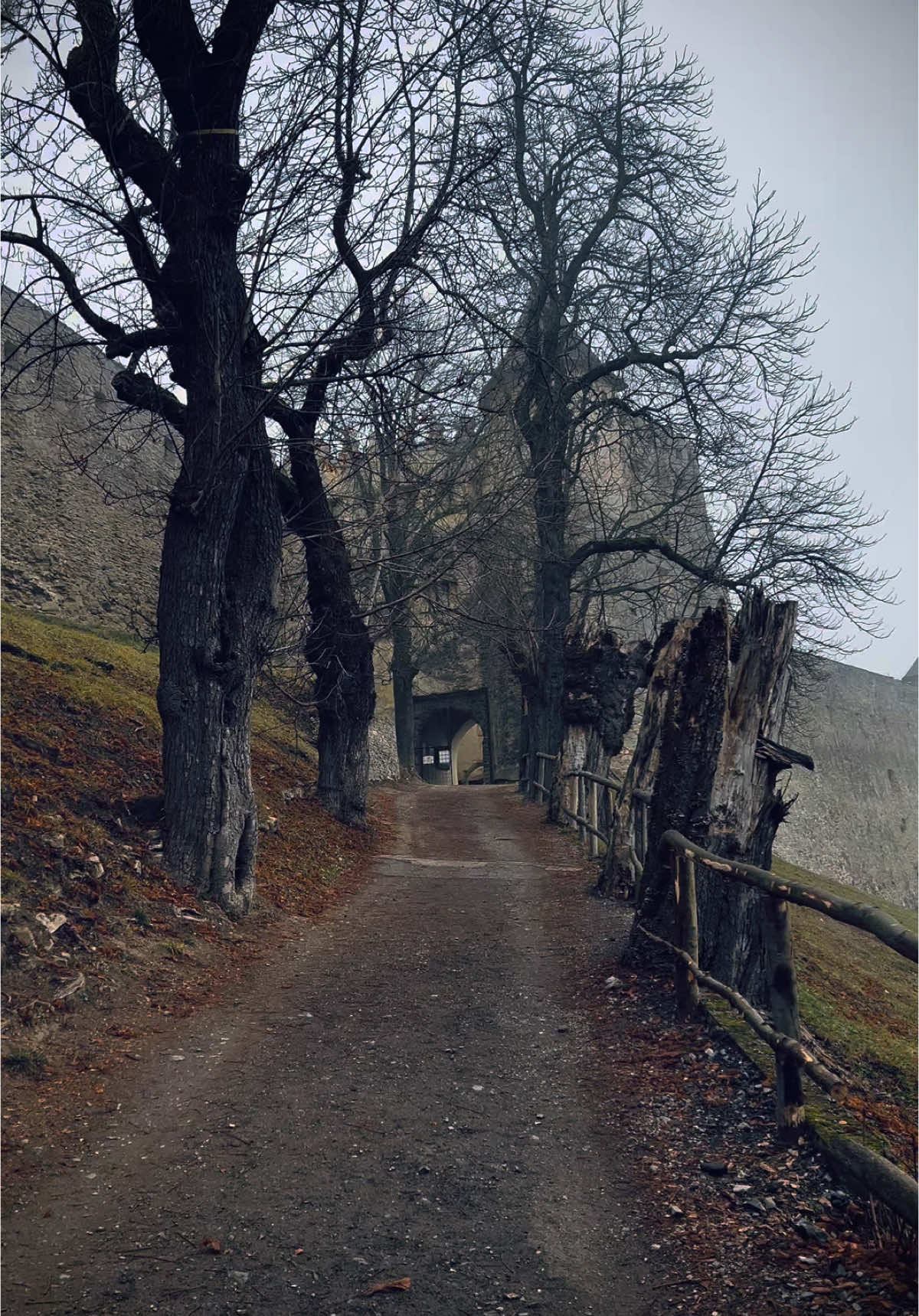 Стара Любовня – Замок