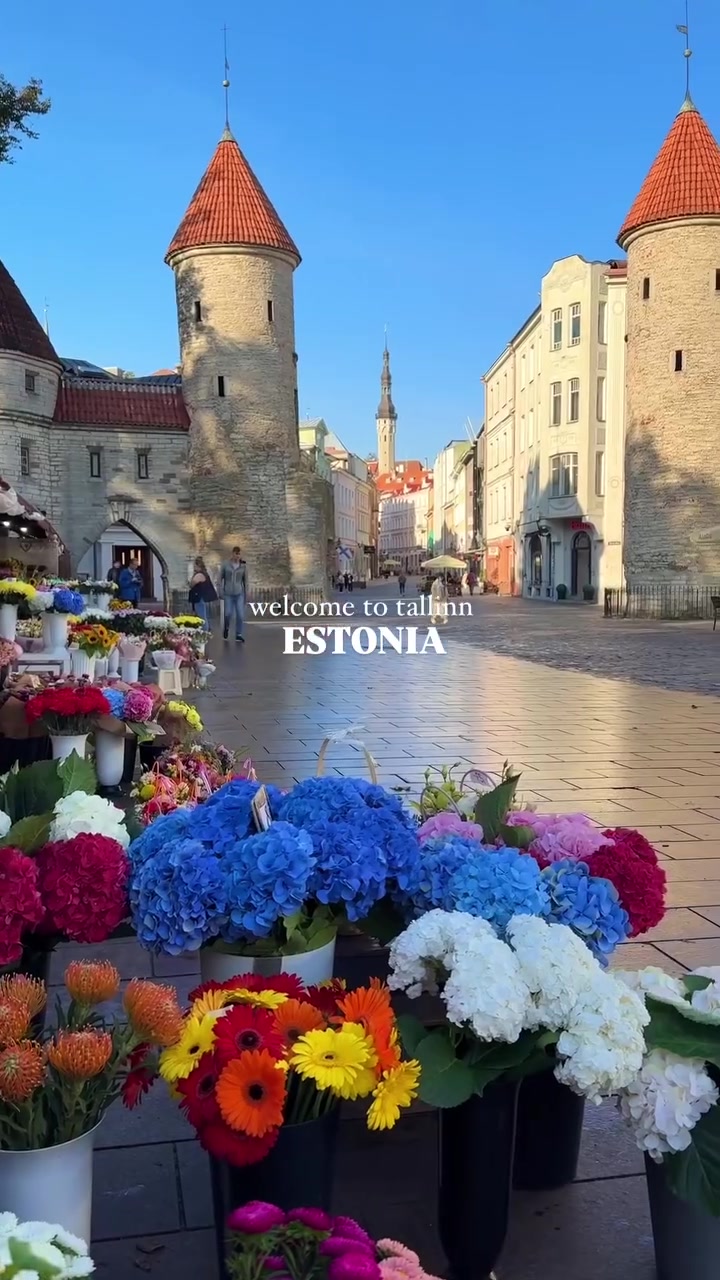 Старый город Таллина