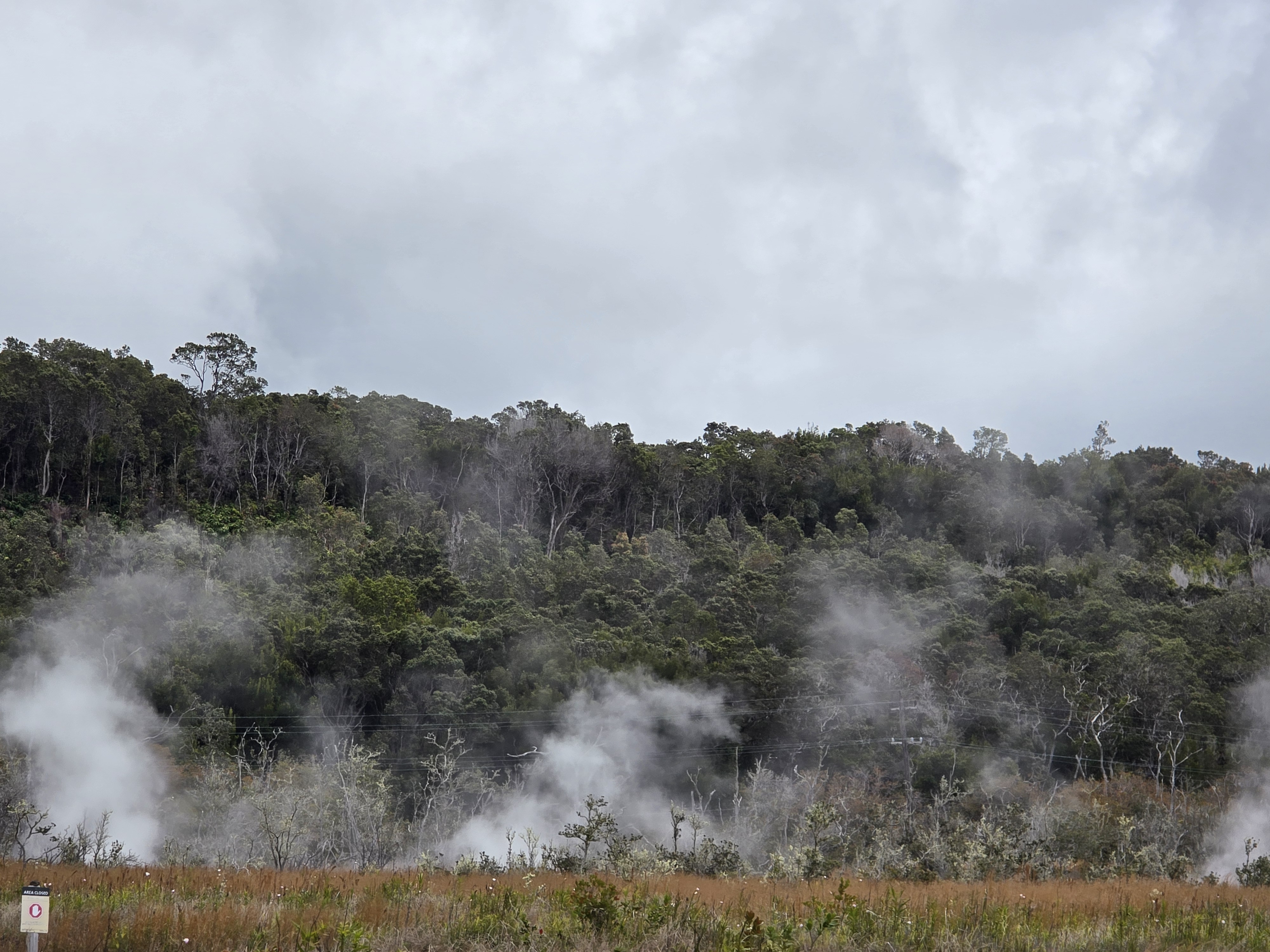 Steam Vents