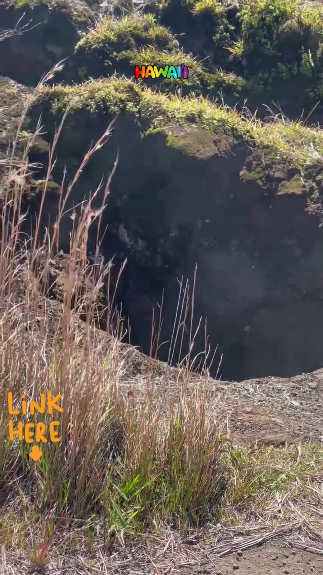 Steam Vents