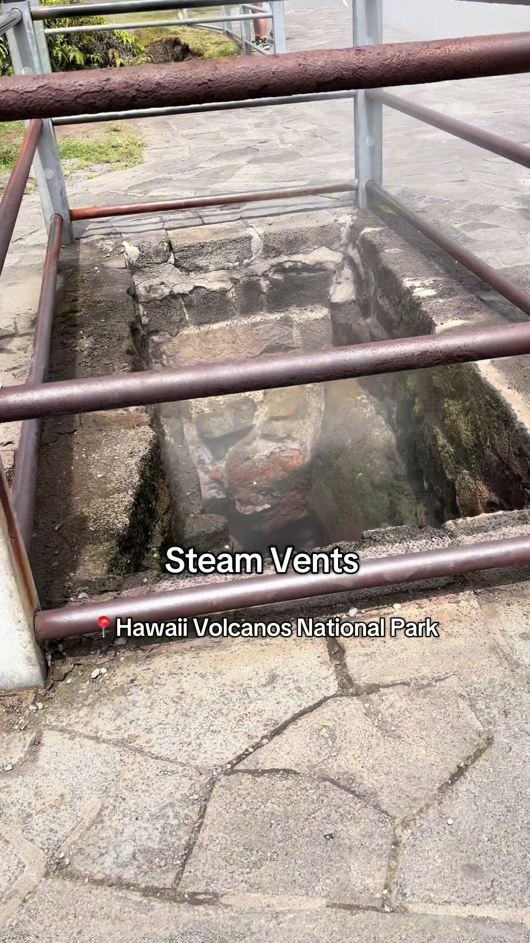 Steam Vents