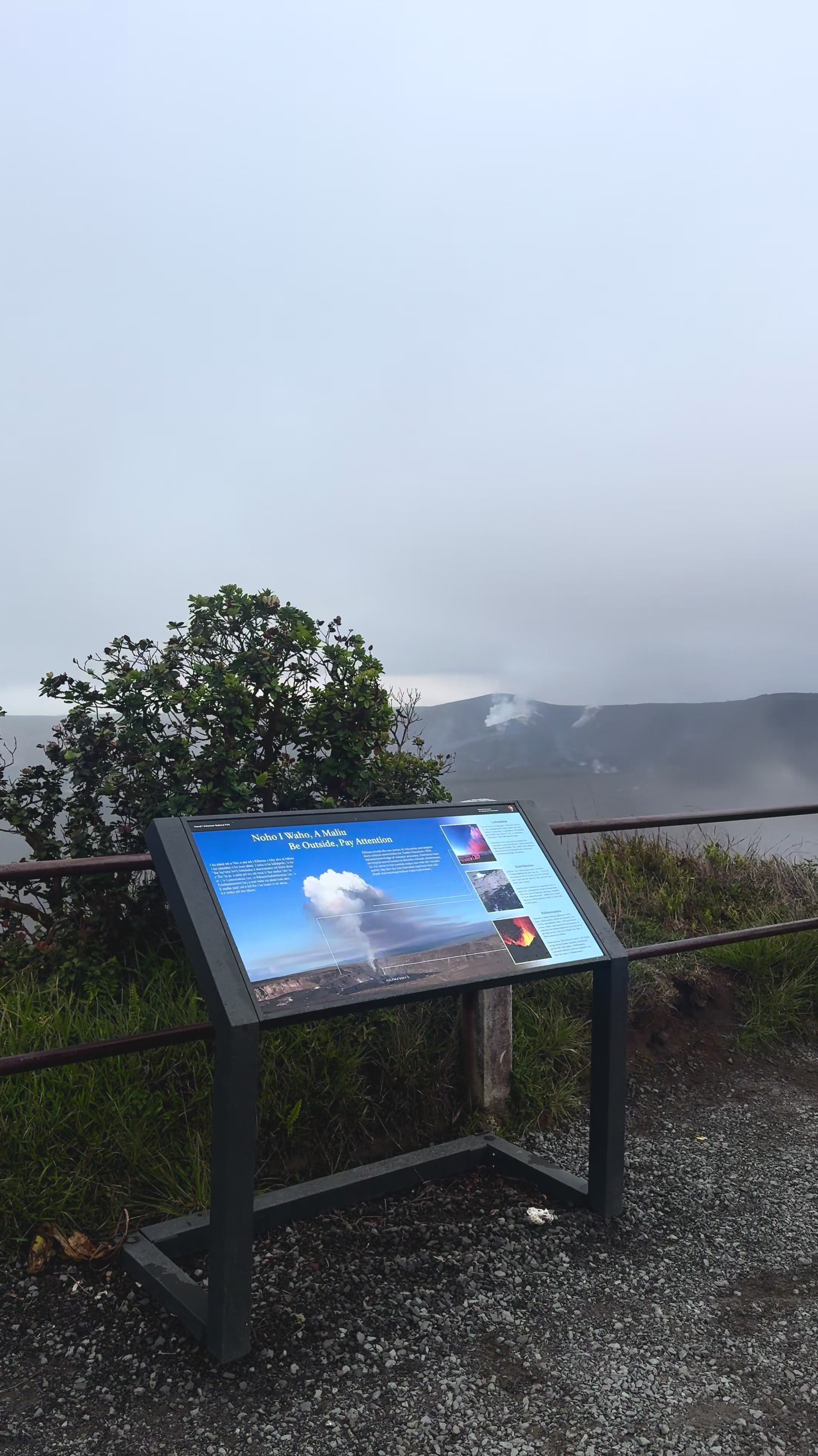 Steam Vents