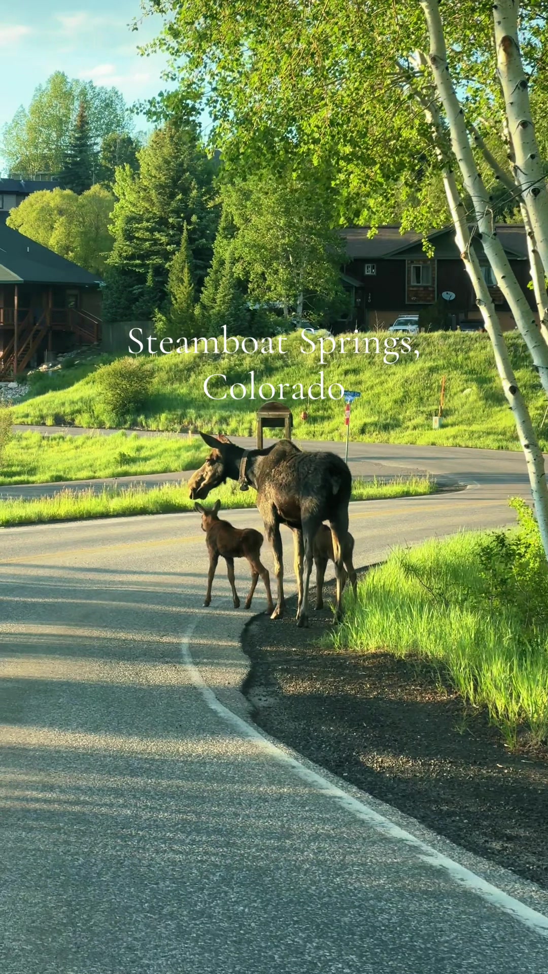 Steamboat Springs, CO