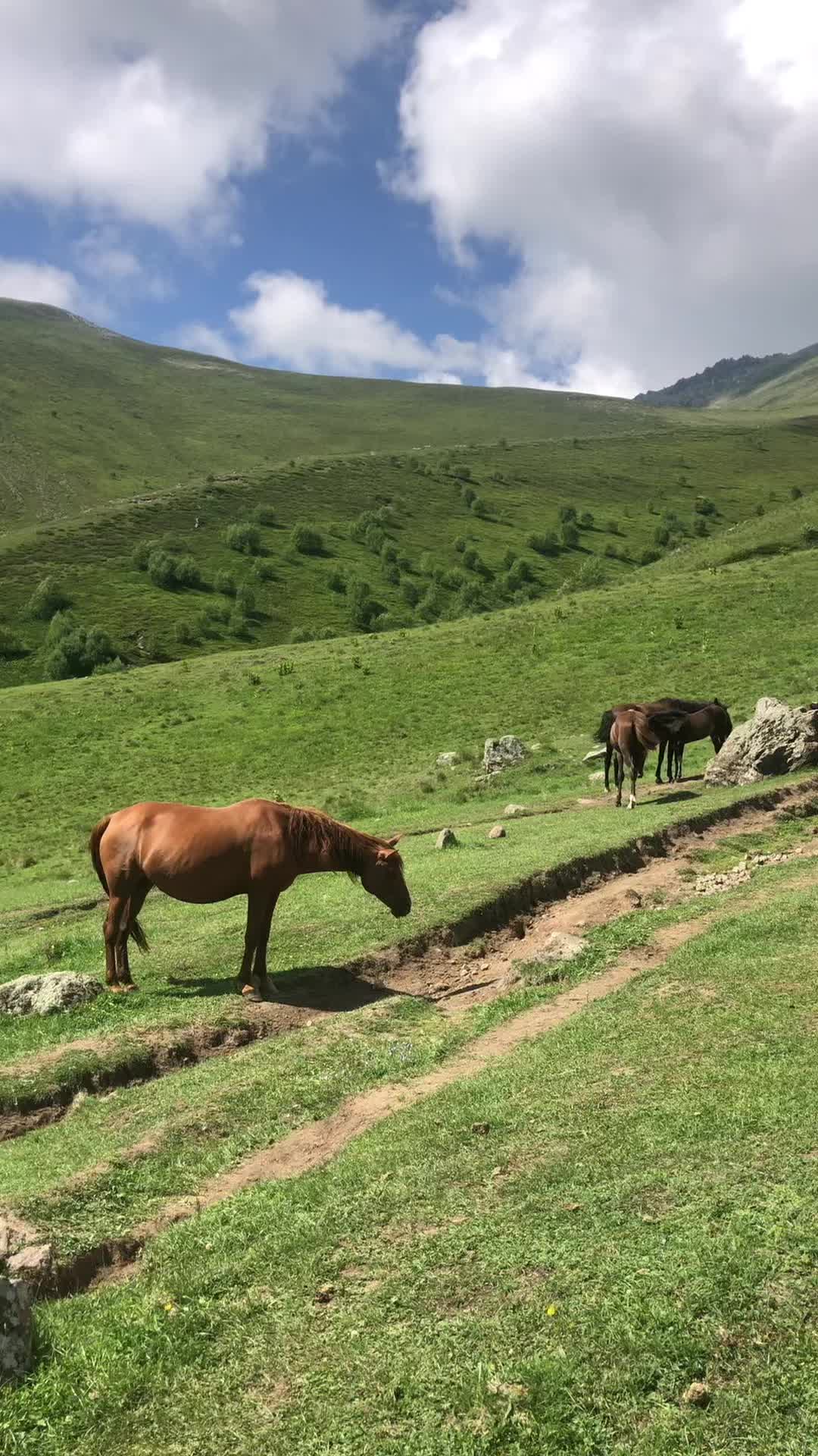 Степанцминда (Казбеги)