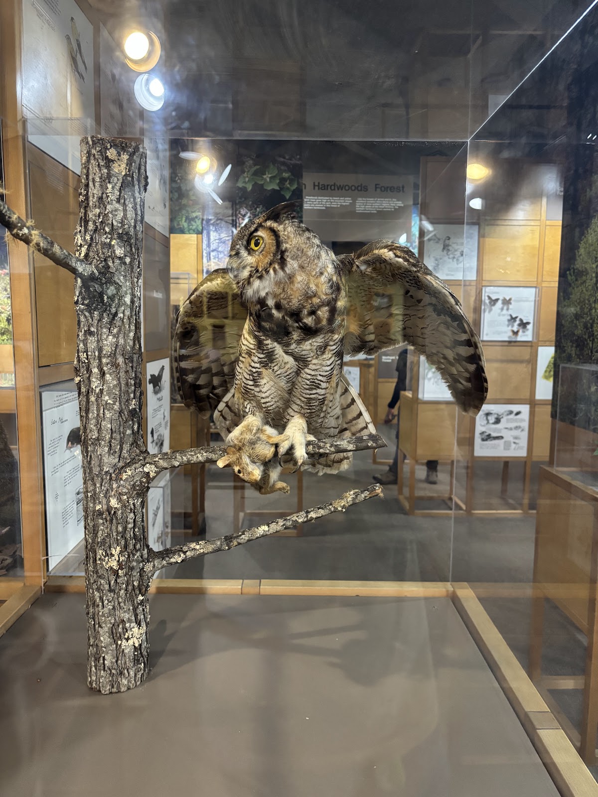 Sugarlands Visitor Center (Great Smoky Mountains National Park)