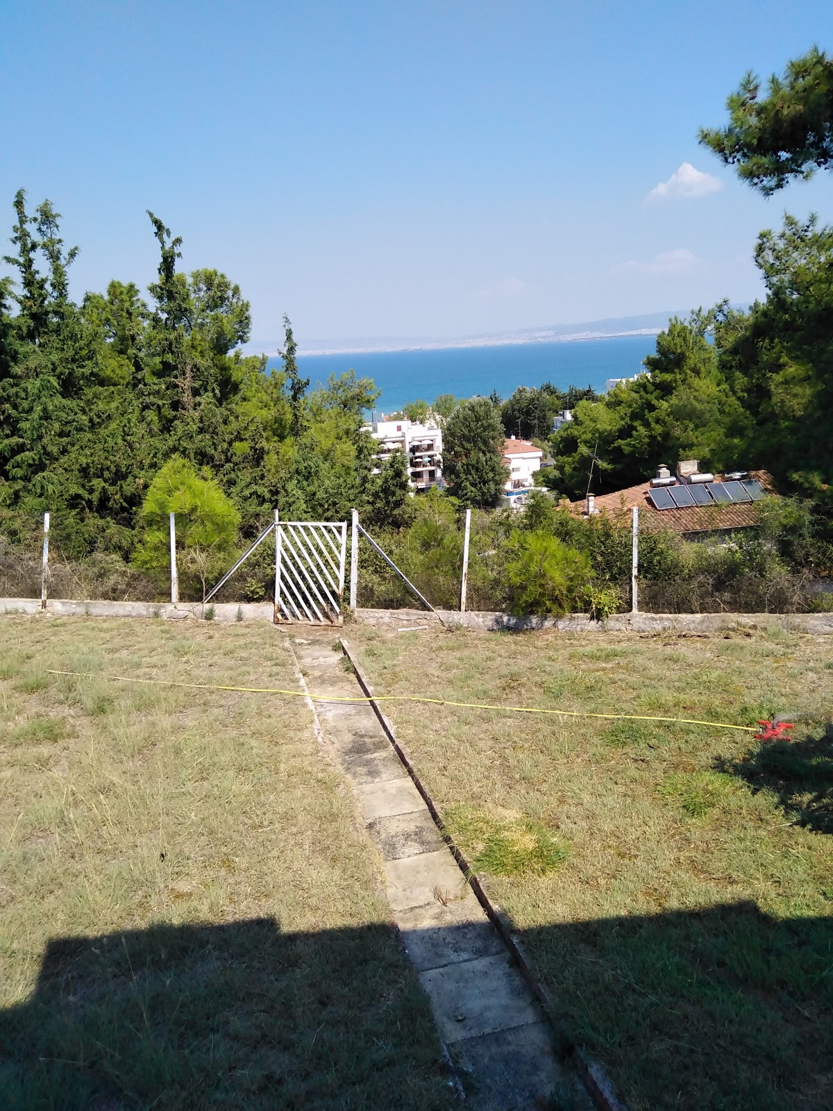תמונה עבור Διόσκουροι (Dioskouroi)