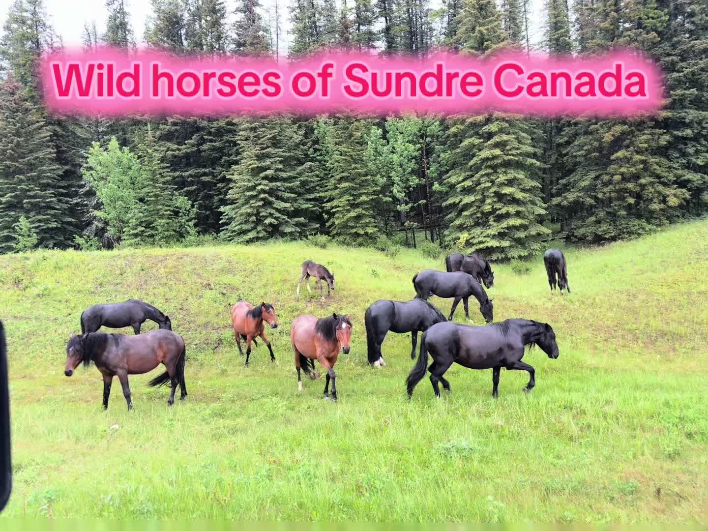Sundre